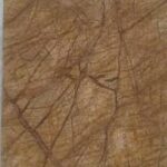 HR-306 RAIN FOREST BROWN MARBLE